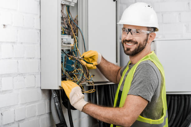 Best Electrical System Inspection  in Roanoke, IL