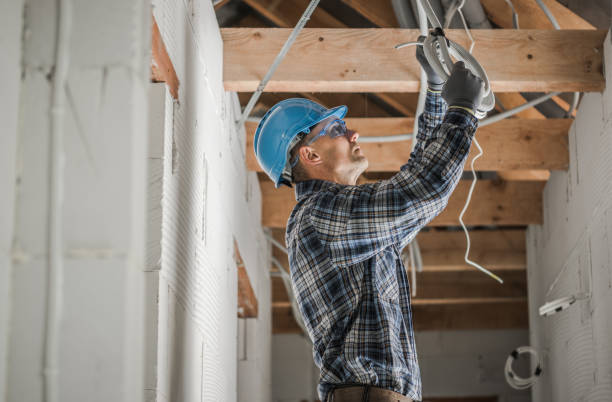 Best Electrical Outlet Repair  in Roanoke, IL