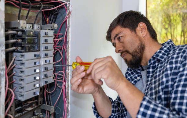 Best Local Electrician Companies  in Roanoke, IL
